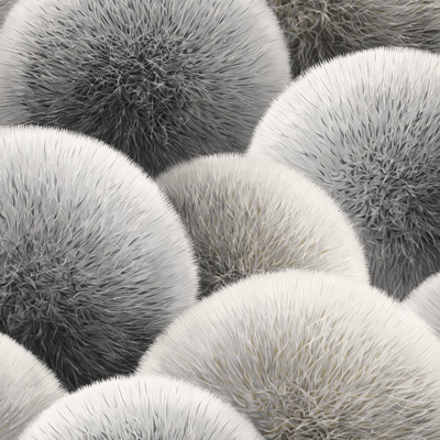 AN8889-16 Антураж обои флизелиновые 1,06*10м/6