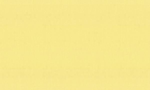 HC71822-33 Home Color обои флизелиновые 1,06*10м/8