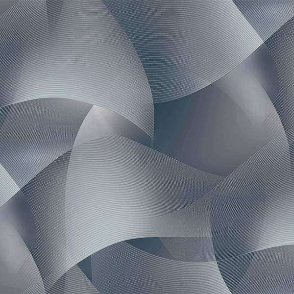 283594 Victoria Stenova Сингапур обои флизелиновые 1,06*10м/6