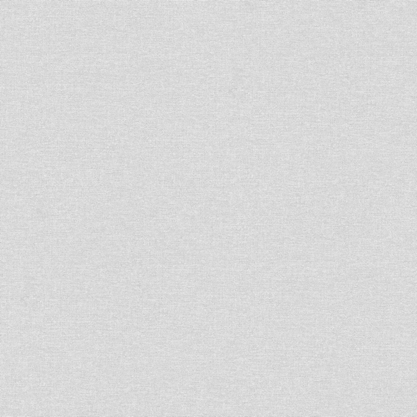 60068-03 Тренд3 обои флизелиновые 1,06*10м/6